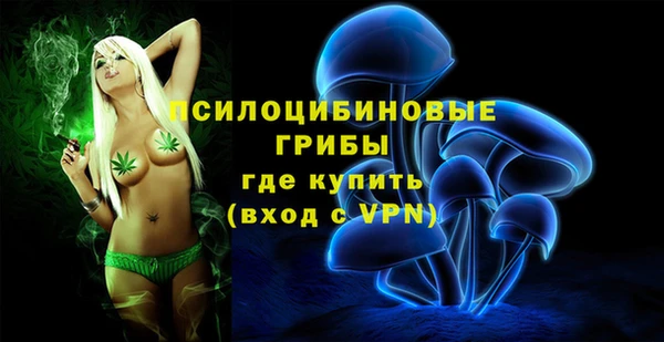 кокс Магас